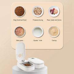 Automatic Food Dispenser